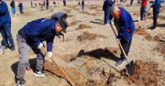 【市城市燃熱集團(tuán)富泰熱力】公司組織員工參加義務(wù)植樹(shù)